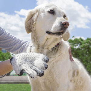 Guanto per Pettinare e Massaggiare Animali Domestici Relpet InnovaGoods